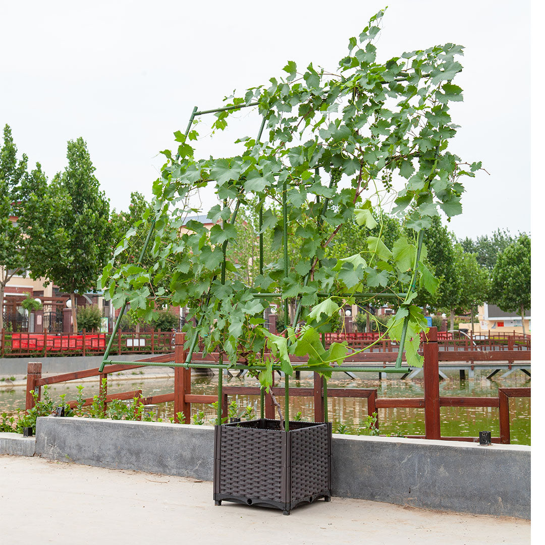 Inclined Garden Trellis Plant Frame 160x160cm