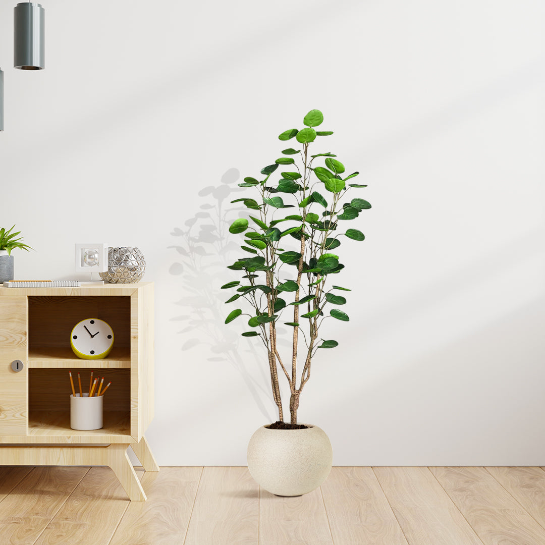 Artificial Polyscias Tree 150cm