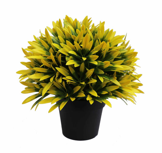 Hanging Basket, Ferns, and Small Potted Plant Bundle - Image 2
