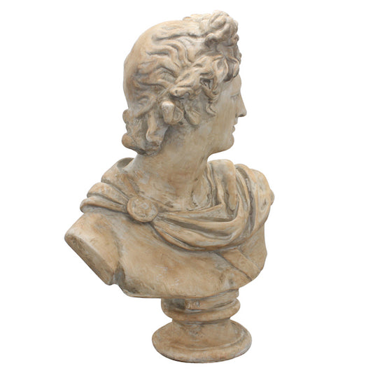 Antony Bust 91cm - Image 2