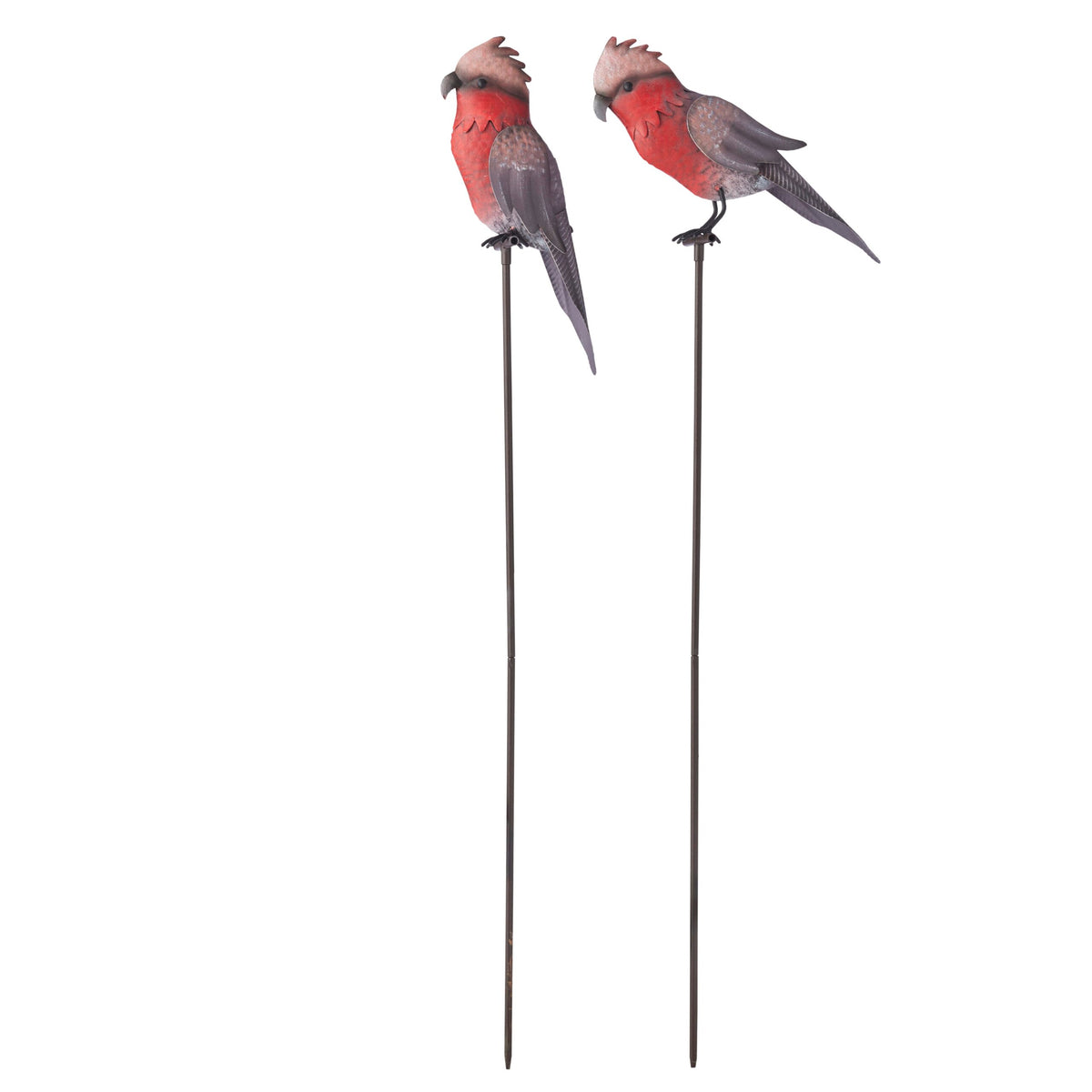Set 2 Asst Galahs On Stakes 78cm