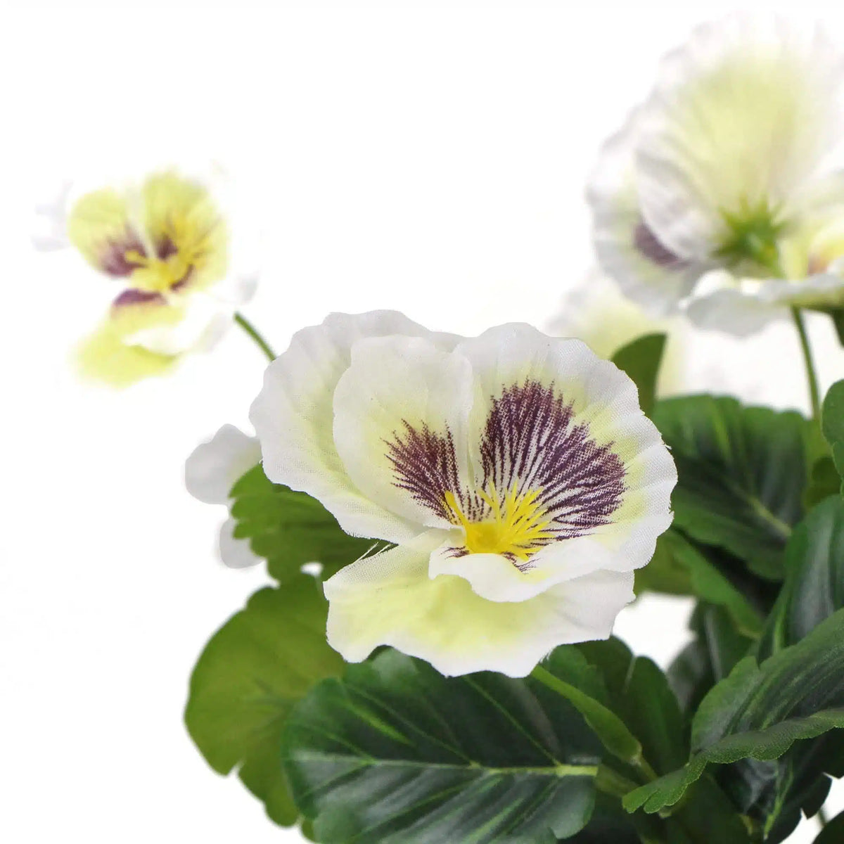 Mixed White Flowering Potted Artificial Pansy Plants 25cm - Image 4