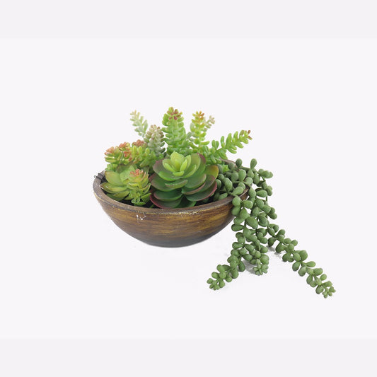 Kaori Mixed Succulent Bowl 20cm - Image 2