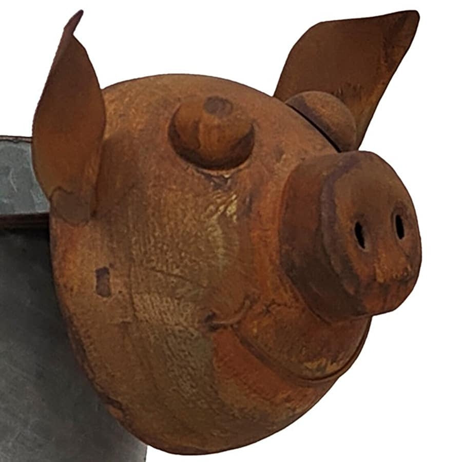 Rusty Pig Planter w Galvanise Pot 36cm - Image 5