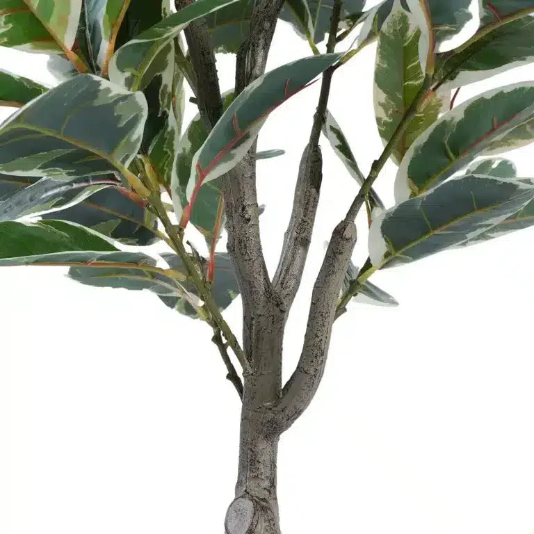 Artificial Bushy Variegated Ficus Tree (Rubber Tree) 120cm - Image 5