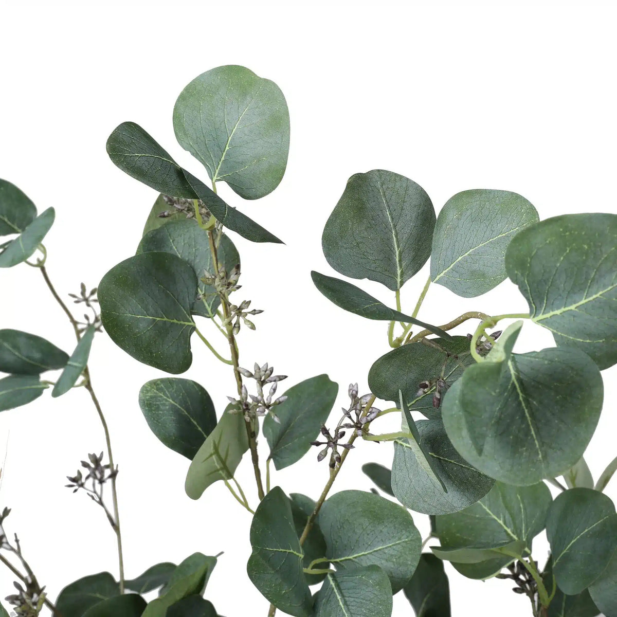 Artificial Eucalyptus Tree (Red Box Eucalyptus Polyanthemos) 150cm - Image 4