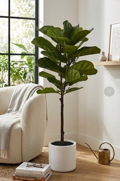 Large Artificial Fiddleleaf Tree in Pot 130cm