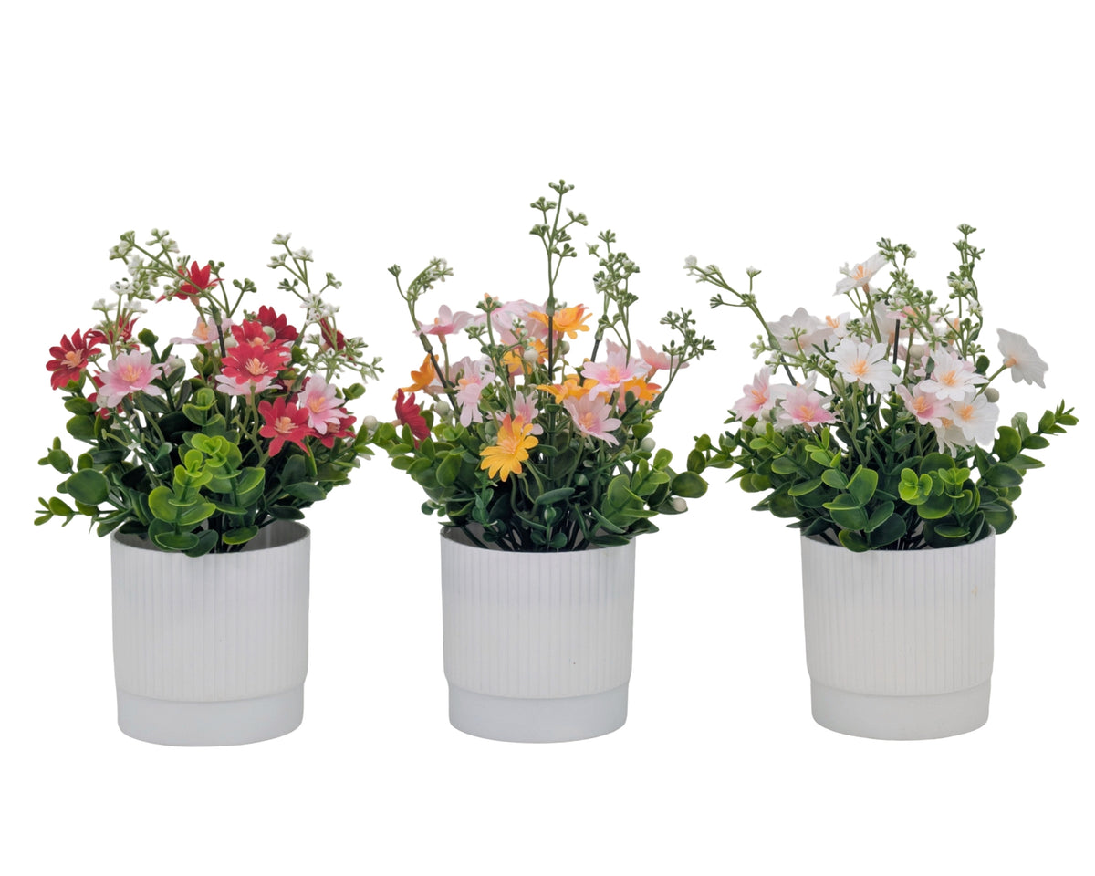 Bulk 24 Artificial Daisy Flower Pot 25cm 3 Asst