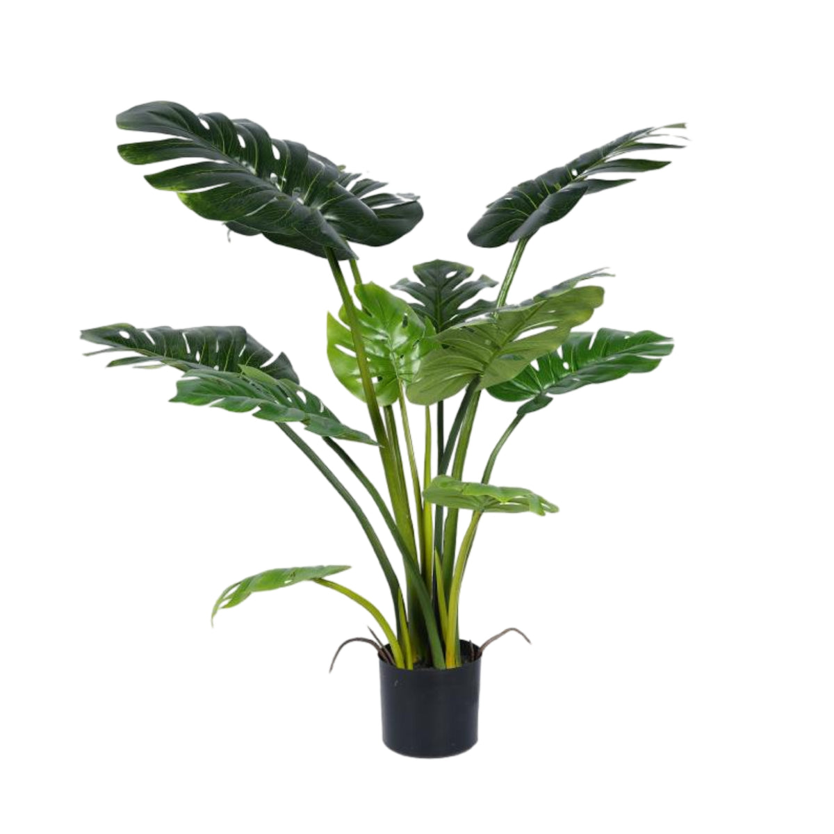 Bulk 2 Large Artificial Real Touch Monstera in Pot