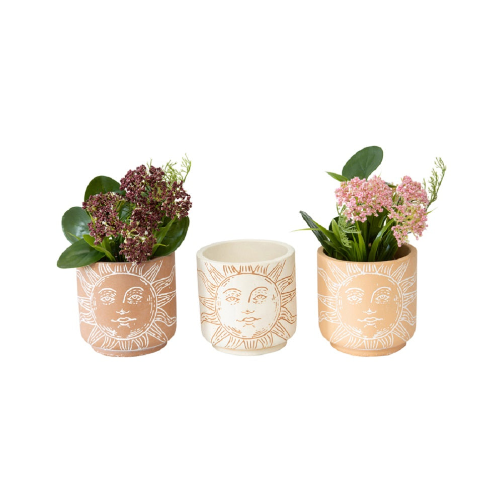 Set 3 Asst Sunshine Planters w Hole & Plug 11cm