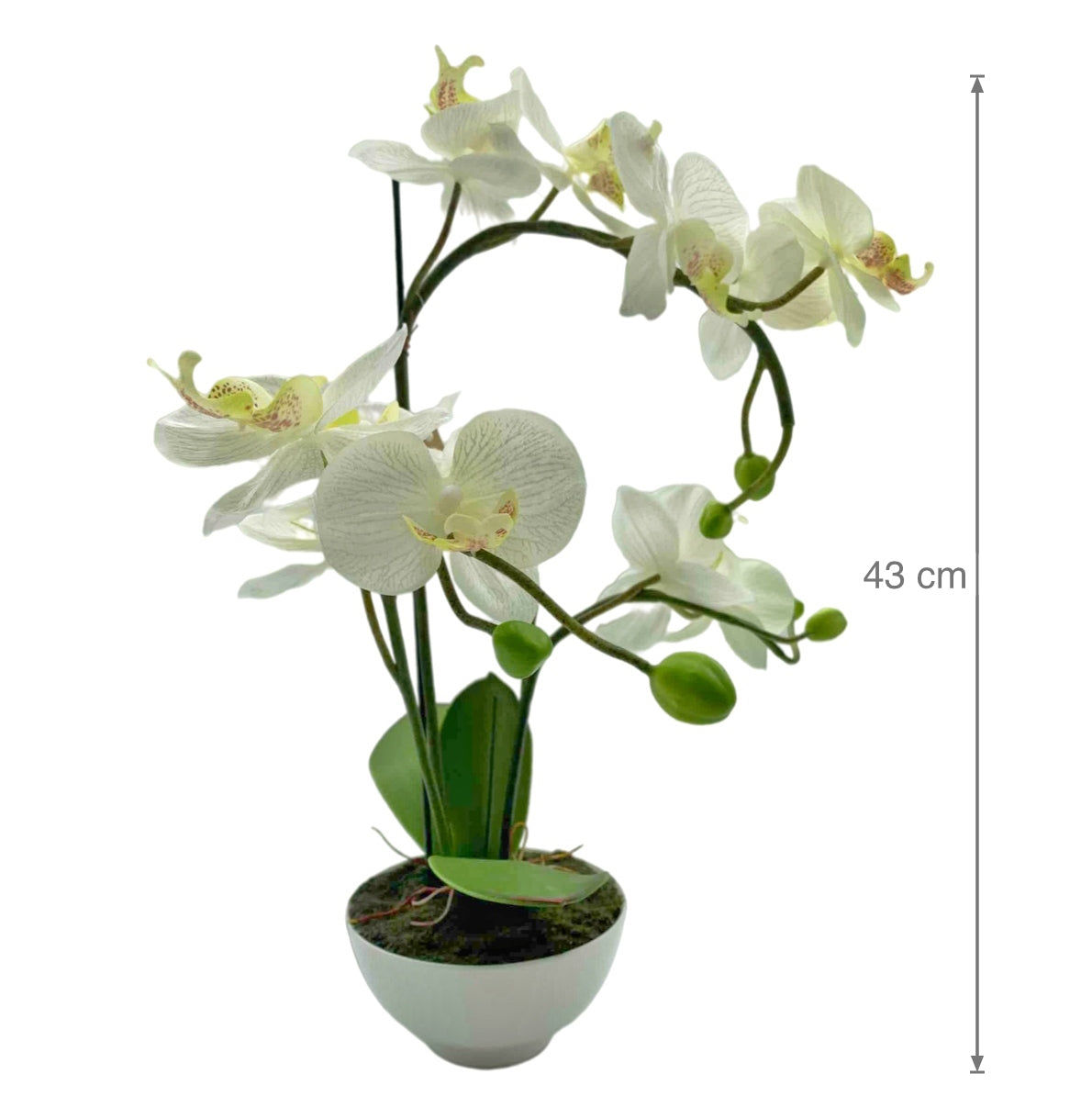 Artificial Orchid w/ Ceramic Base 44cm