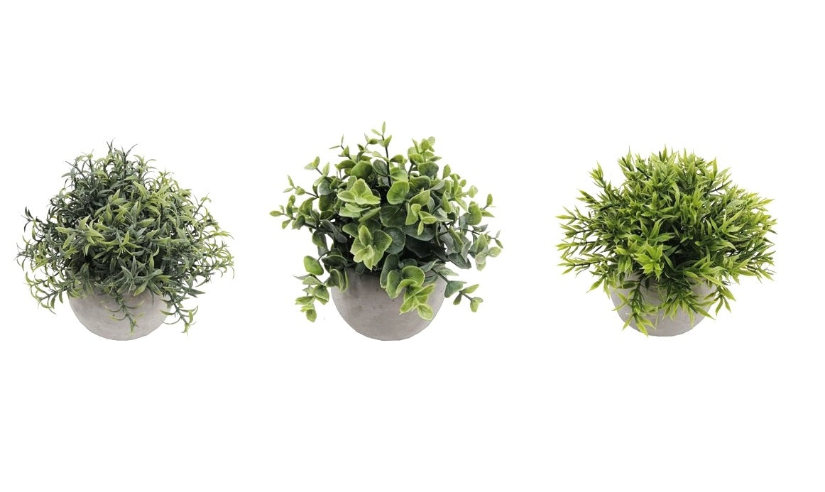Set 3 Artificial Plant in Cement Pot 18cm
