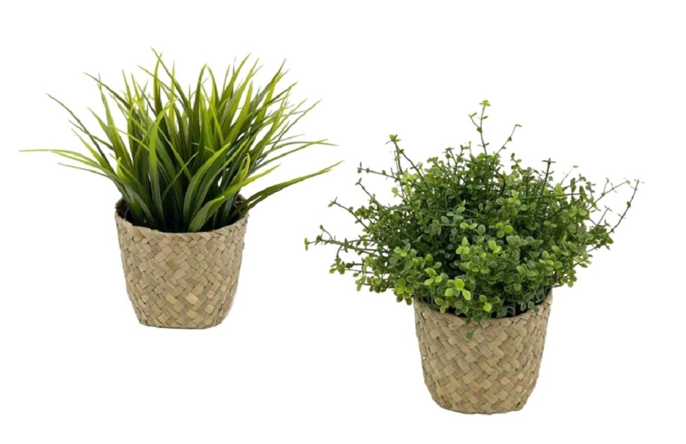 Set 2 Artificial Green Plant in Rattan Basket 23cm