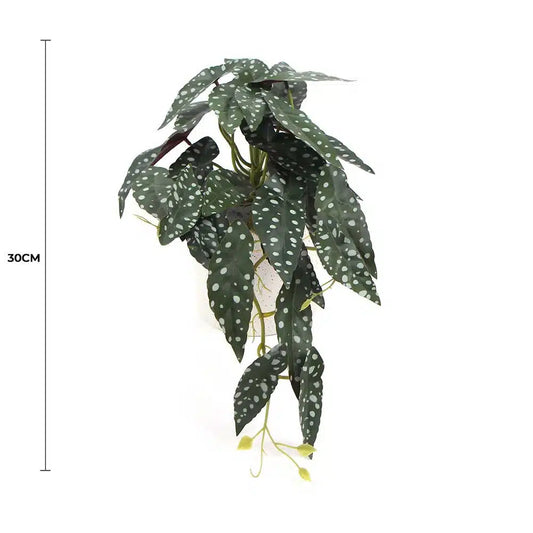 Artificial Begonia Maculata Plant In Decorative Bowl 30cm - Image 2