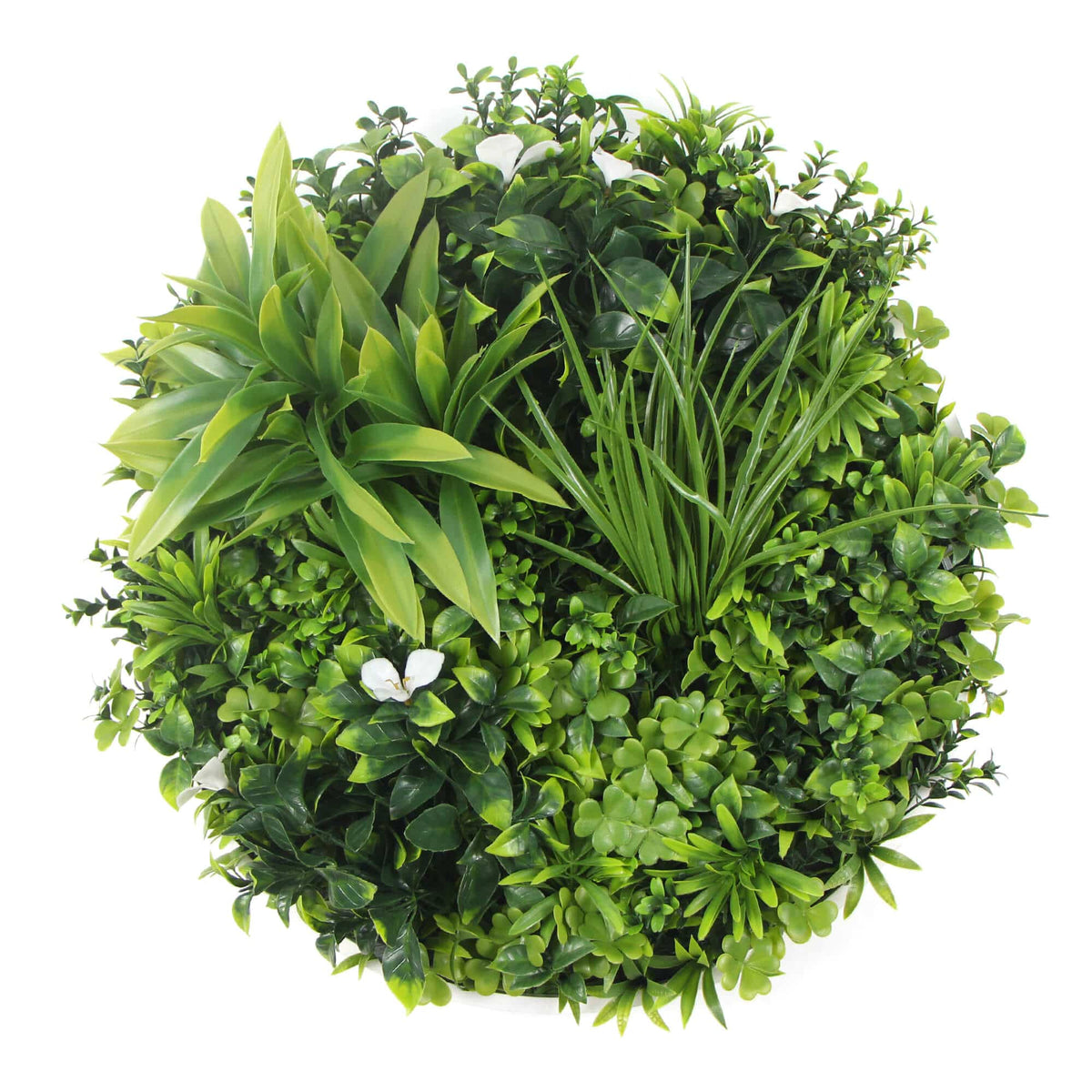 Two Flowering White Green Wall 50cm Discs and Six Flowering Stems Bundle - Image 3