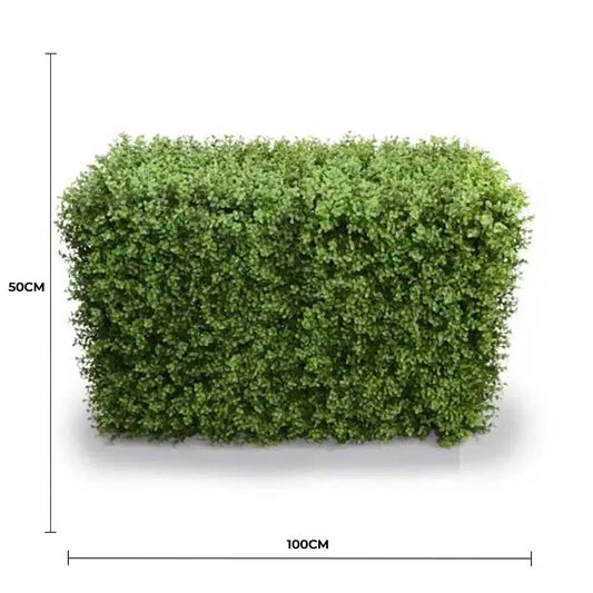 Deluxe Portable Buxus Hedge UV Resistant 100cm Long x 50cm High - Image 2