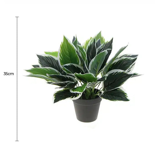 Dense Potted Artificial Calathea Plant 35cm - Image 2