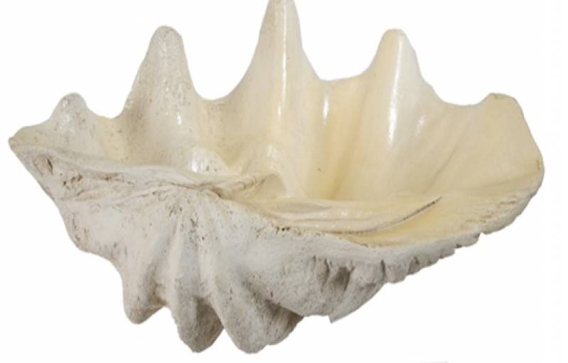 Large Shell Ornament 63cm