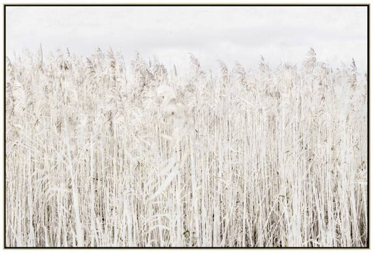Pampas Grass Framed Canvas Wall Art 120cm - Image 2