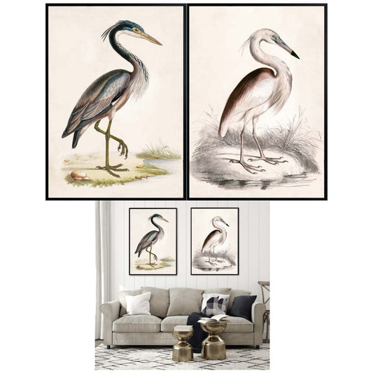 Set 2 Brilliant Bird Framed Canvas Wall Art 70cm