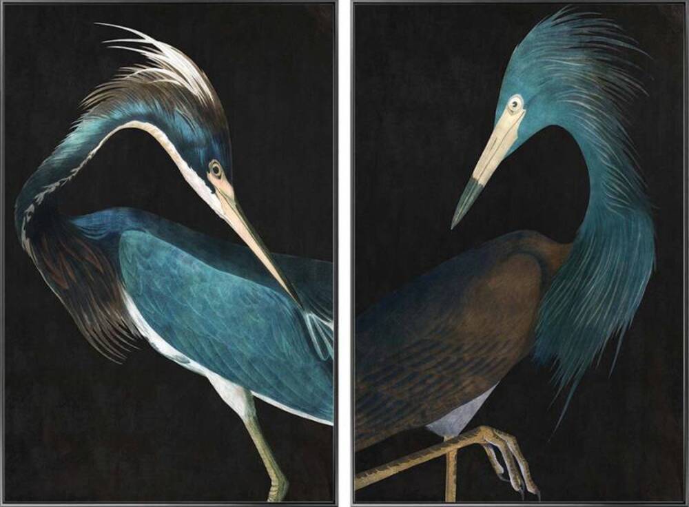 Set 2 Bird Duo Framed Canvas Wall Art 120cm
