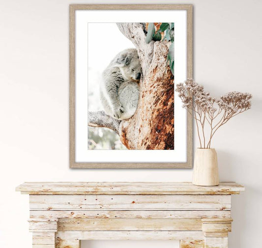 Cuddle Koala Framed Art Work 80cm - Image 2