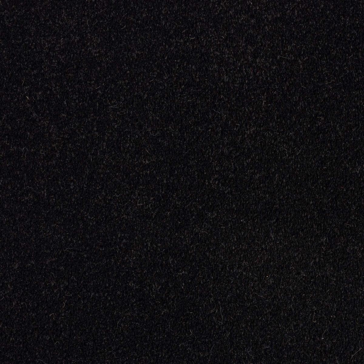Europa 1000 Black Rug