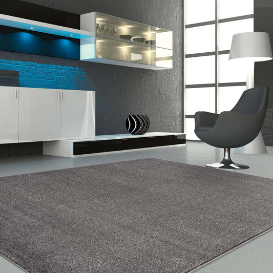 Europa 1000 Dk Grey Rug