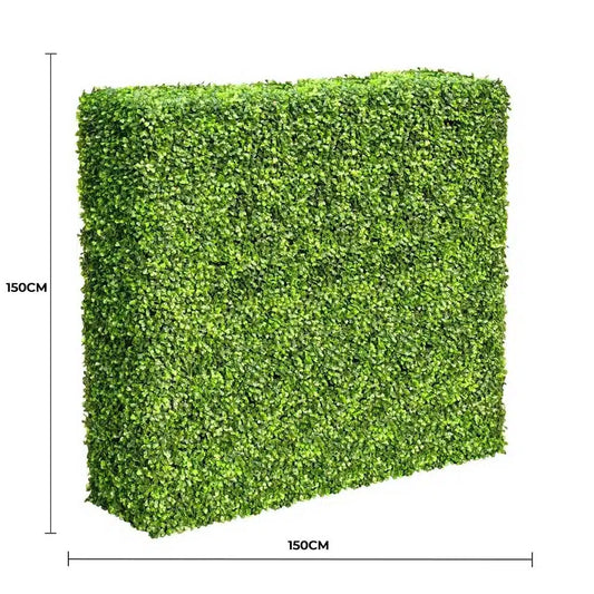 Large Portable Mixed Boxwood Hedge 1.5m by 1.5m UV Resistant - Image 2