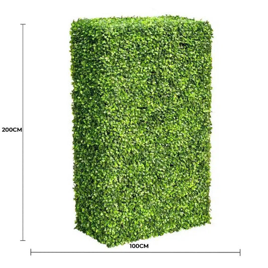 Large Portable Mixed Boxwood Hedge UV Resistant 100cm Long x 200cm High - Image 2