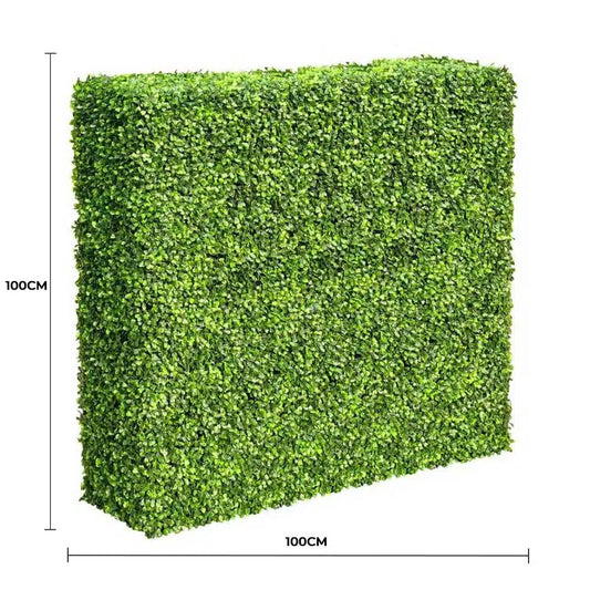 Mixed Boxwood Hedge UV Resistant 100cm Long x 100cm High - Image 2