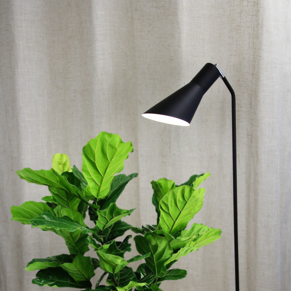 Black Floor Lamp - Thor Floor Lamp
