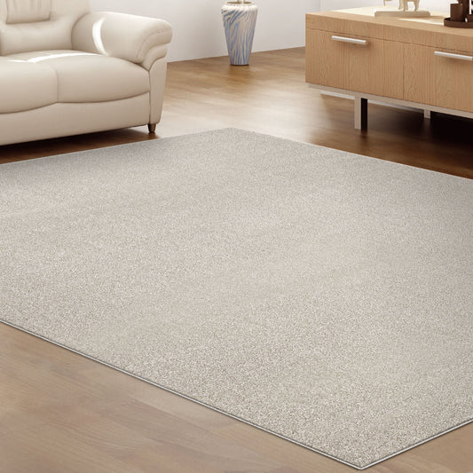 Sierra 6365 Beige Rug