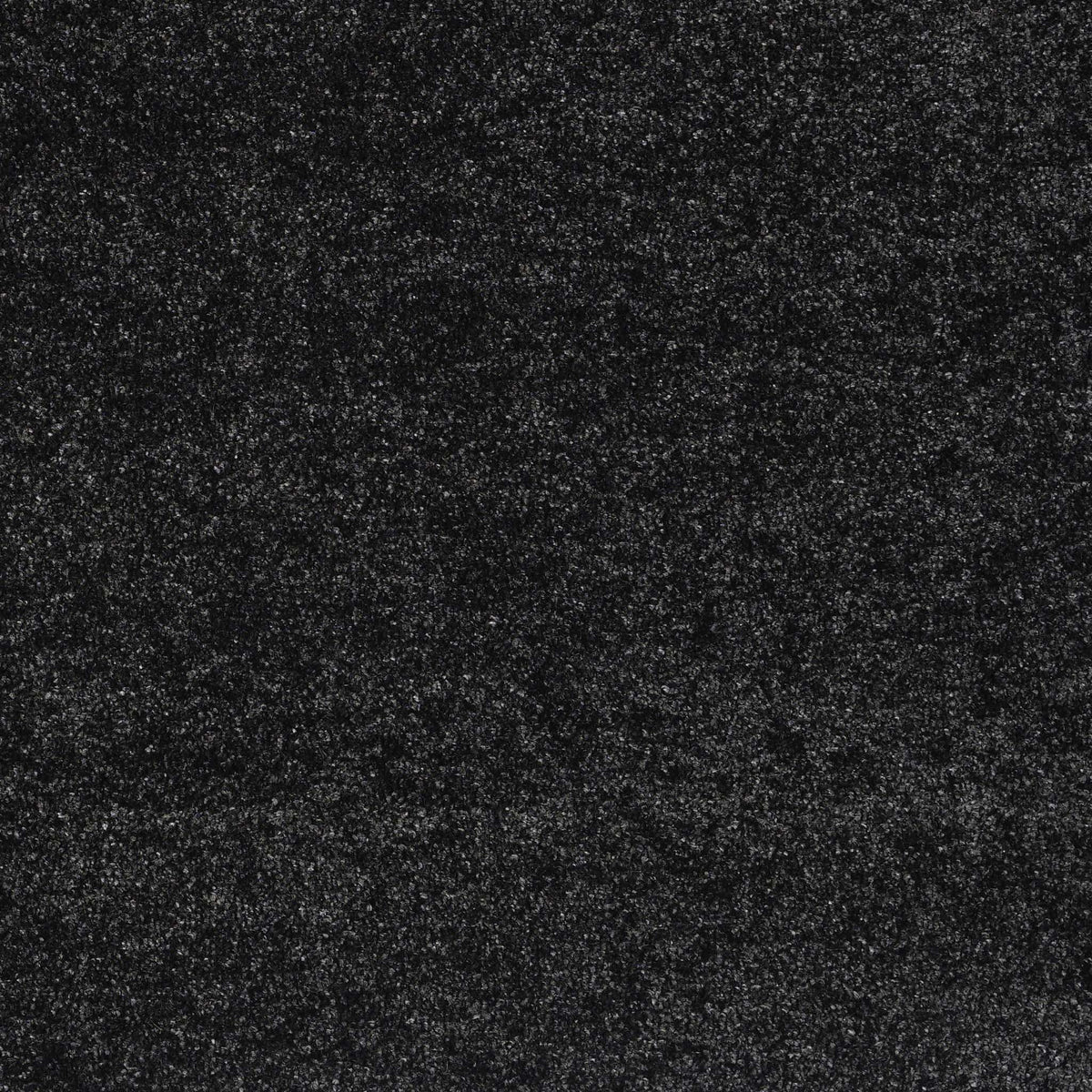 Sierra 6365 Black Rug