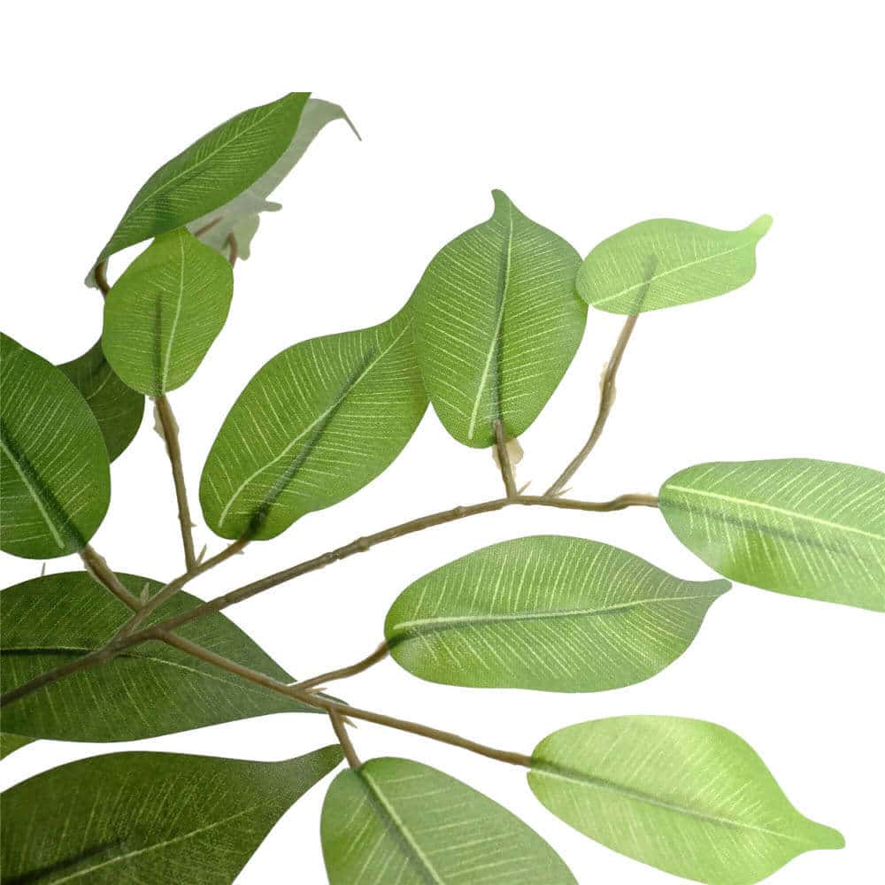 Large Custom Made Ficus Tree 250cm - Image 4