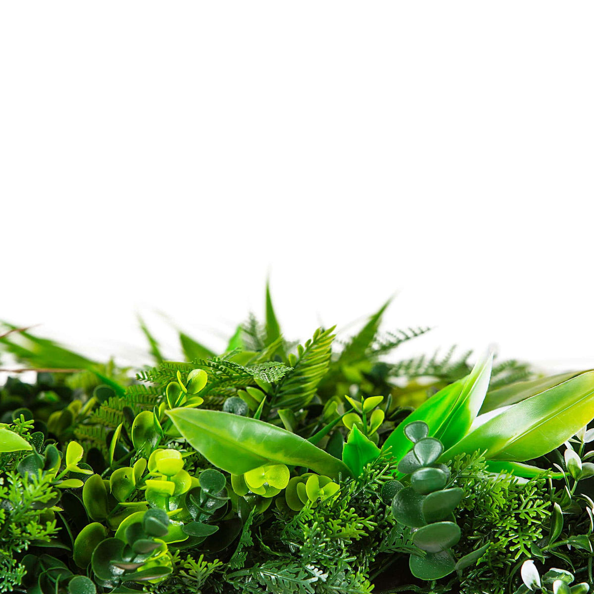 Wild Tropics Vertical Garden / Green Wall UV Resistant 100cm X 100cm - Image 5