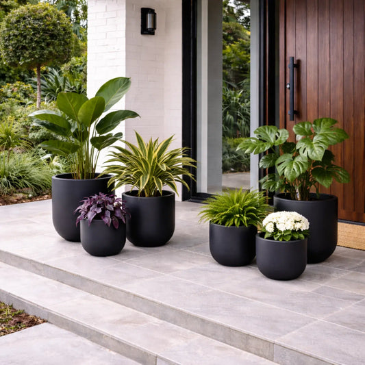 Luxury Egg-Shaped Ovate Planter Set of 5 | Premium Pot Range - Matt Black