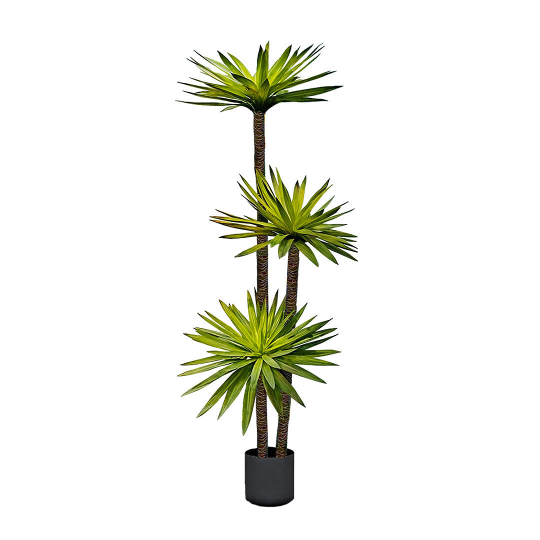 Large Artificial Yucca Tree 180cm with 3 Branches