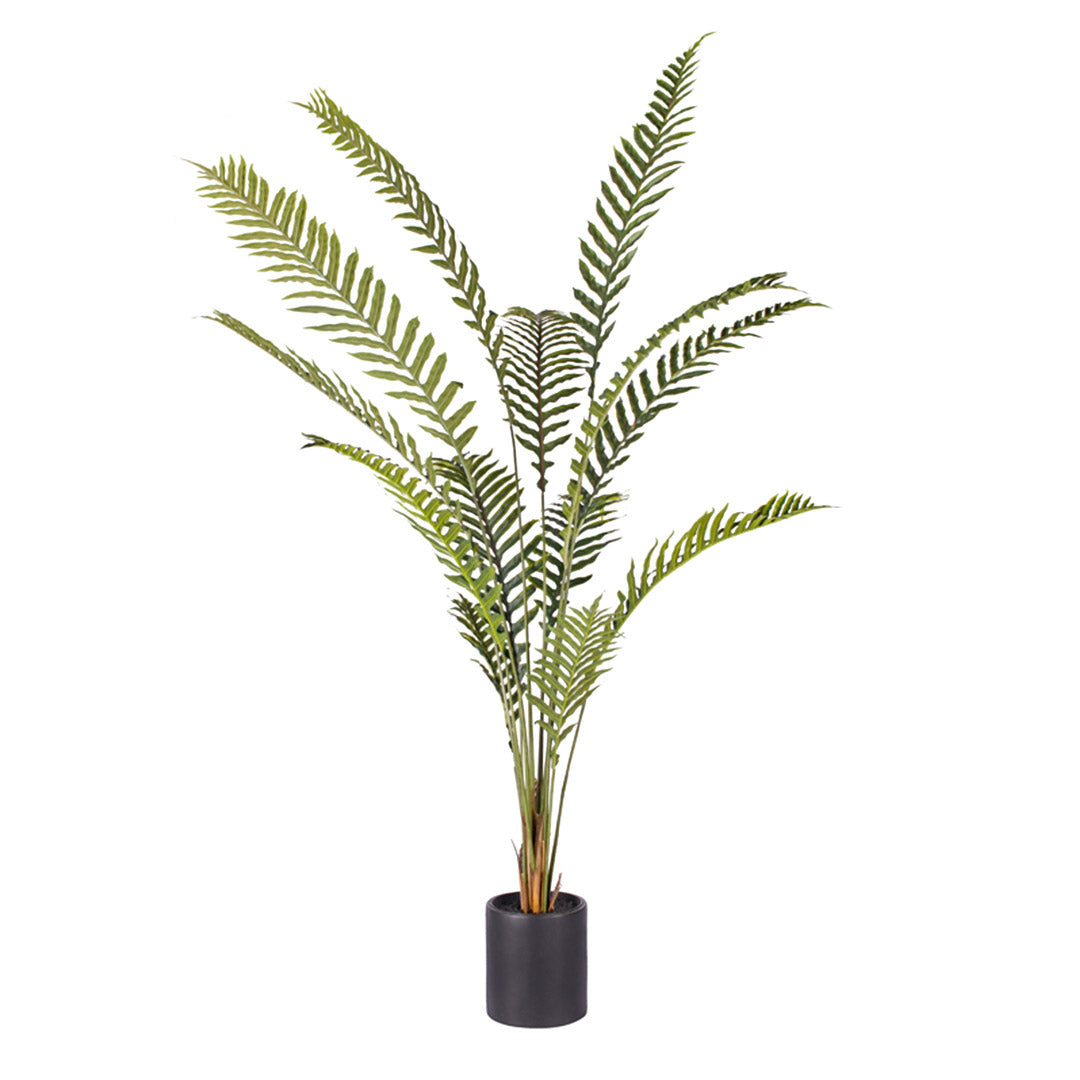 Large Artificial Hare's Foot Fern Tree 240cm