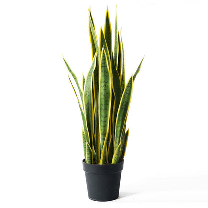 Artificial Yellow-Edge Snake Plant 70cm
