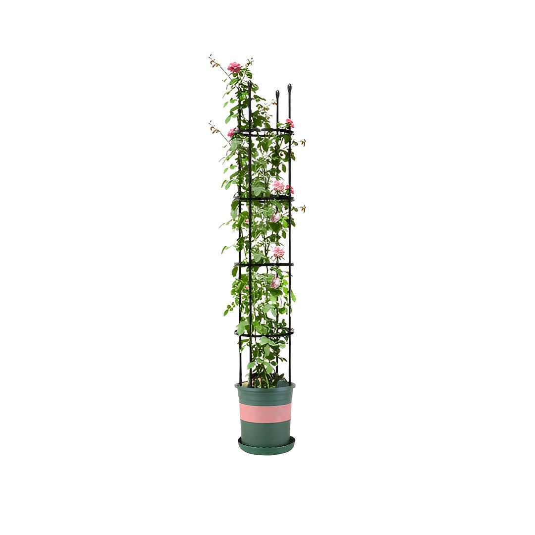 4-Bar Steel Plant Support Frame with Rings 163cm