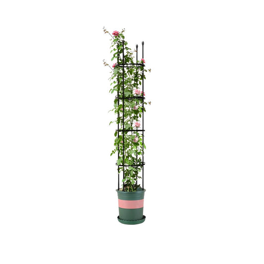 4-Bar Steel Plant Support Frame with Rings 163cm