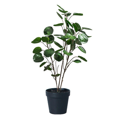 Artificial Polyscias Plant 95cm