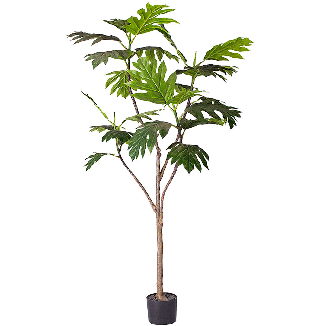 Artificial Split-Leaf Philodendron Tree 180cm