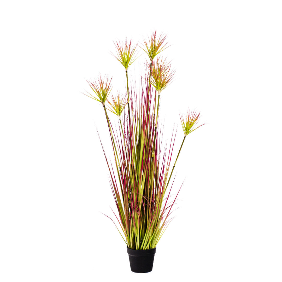 Artificial Papyrus Plant Purple-Red 120cm