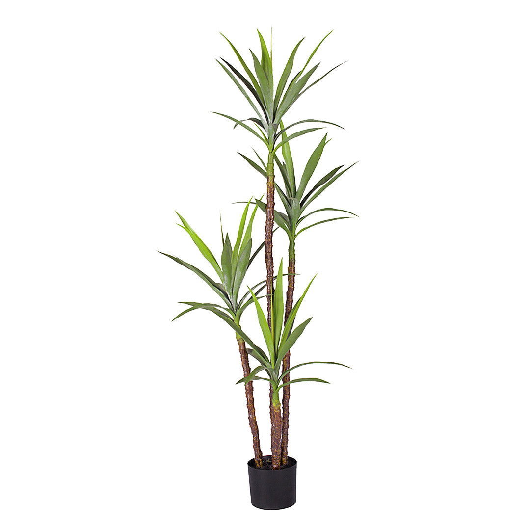 Artificial Dracaena Yucca Tree 180cm