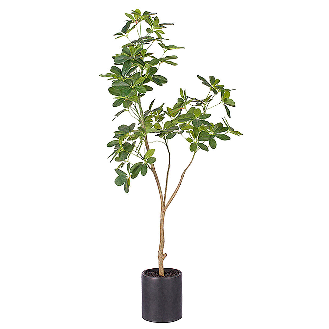 Artificial Schefflera Umbrella Tree 160cm