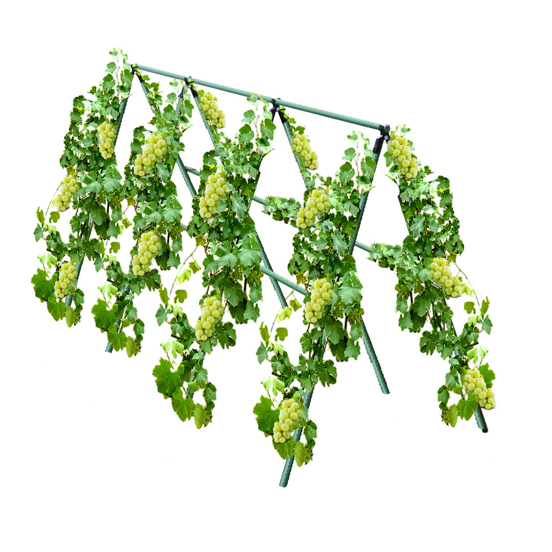 Adjustable Garden Trellis Plant Frame 120x120cm