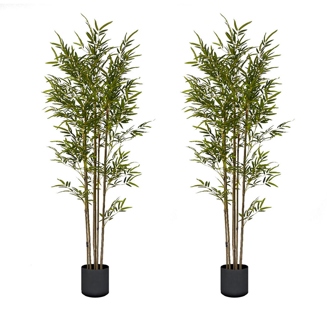 Bulk 2 Artificial Lucky Bamboo Trees 180cm