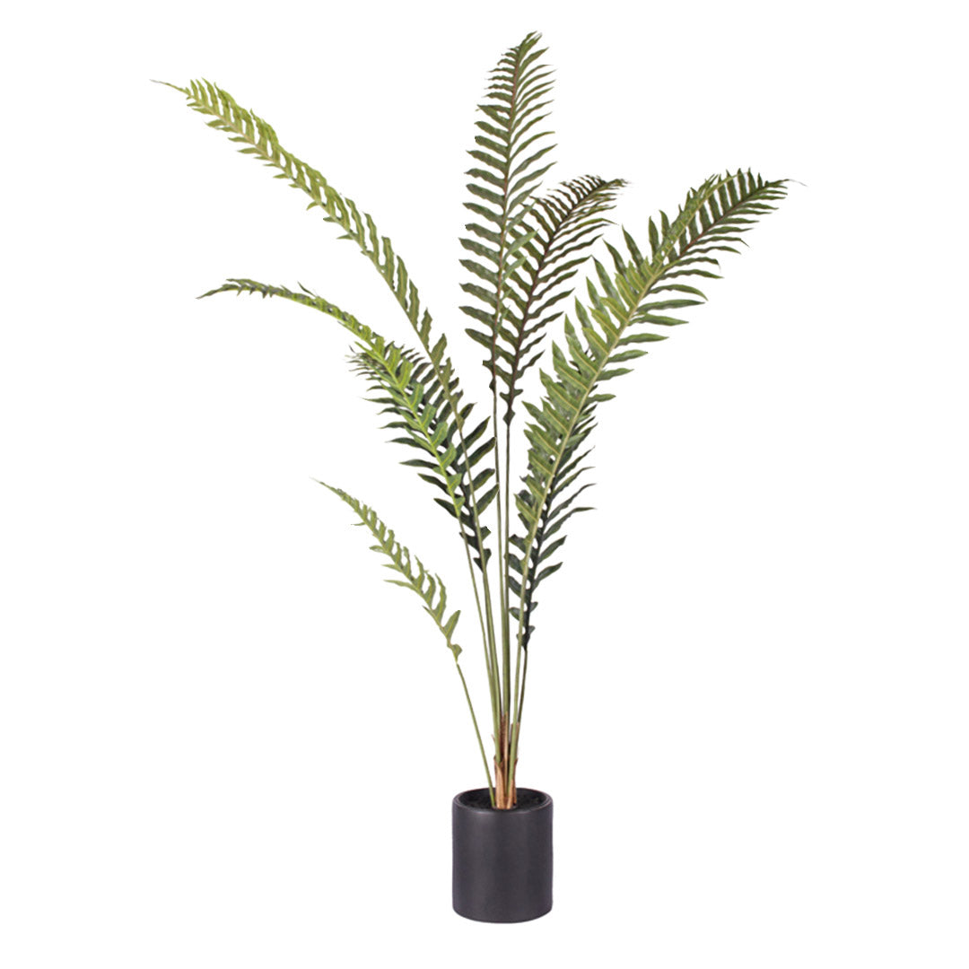 Artificial Hare's Foot Fern Tree 210cm